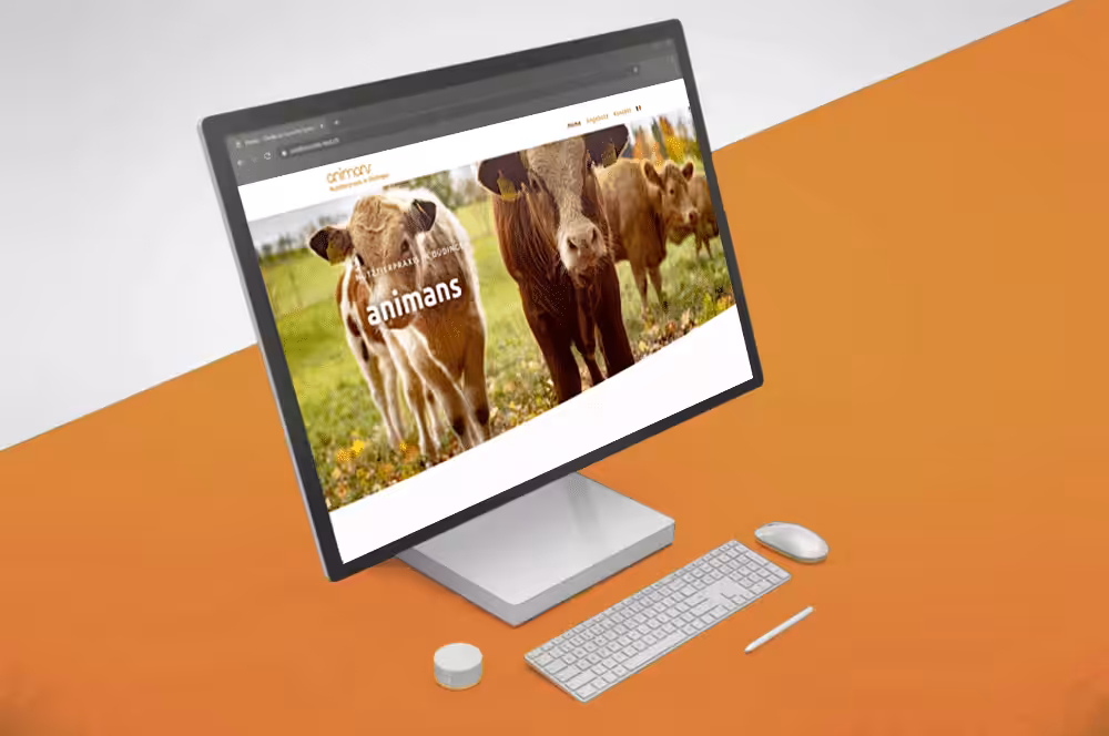 Neue Webseite